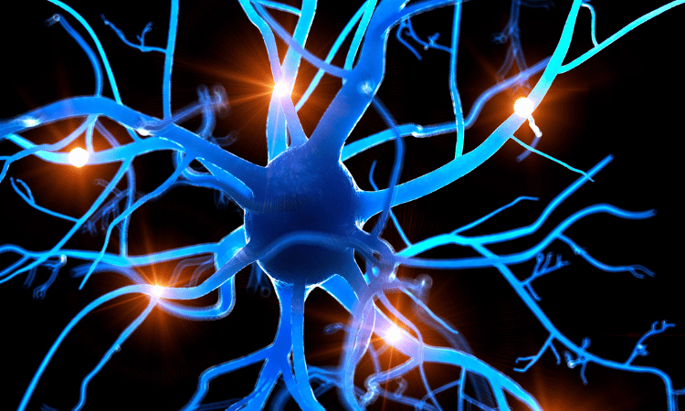 Polyvagal theory in clinical practice